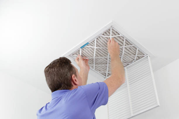 Best Affordable Duct Cleaning Services  in Todd Creek, CO